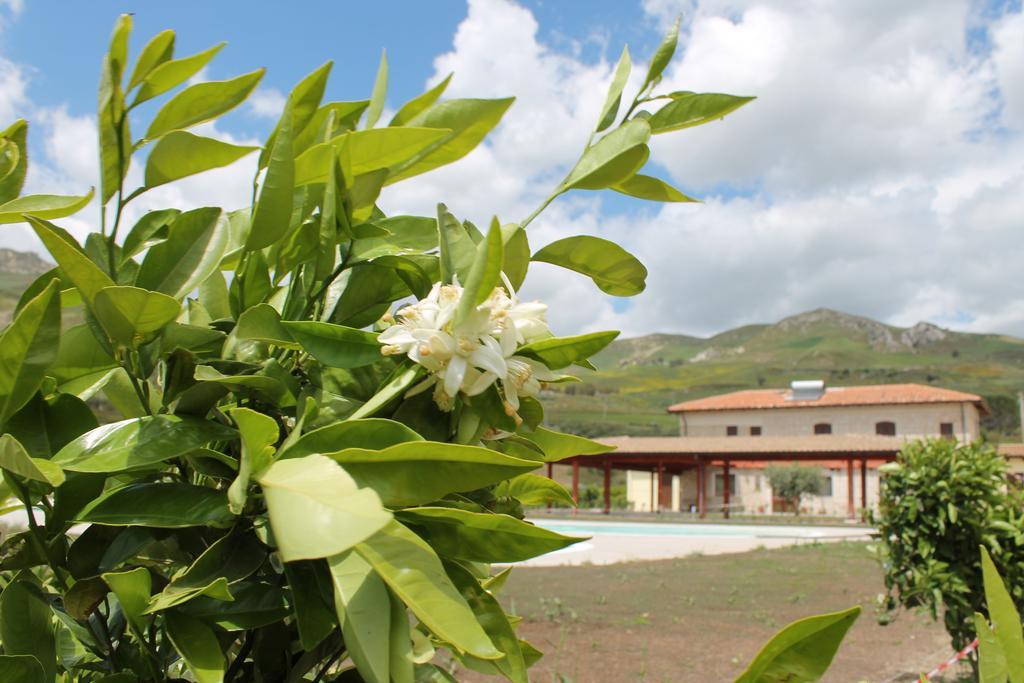 Tenuta Lanza Il Mulino Acquaviva Platani Exteriör bild