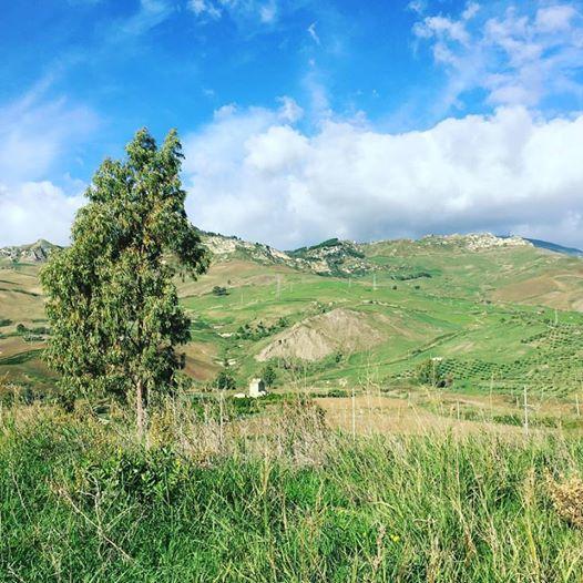 Tenuta Lanza Il Mulino Acquaviva Platani Exteriör bild